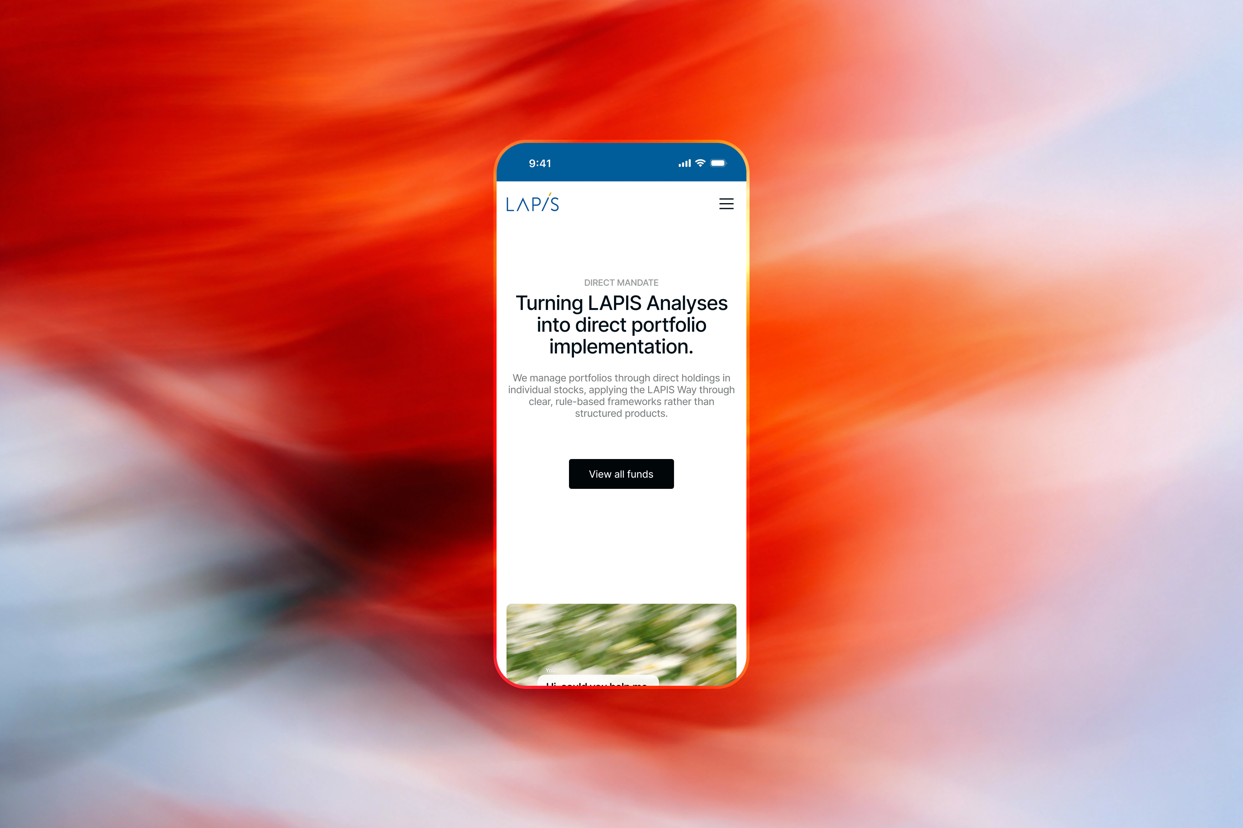 Lapis: wide web banner and digital brand presence