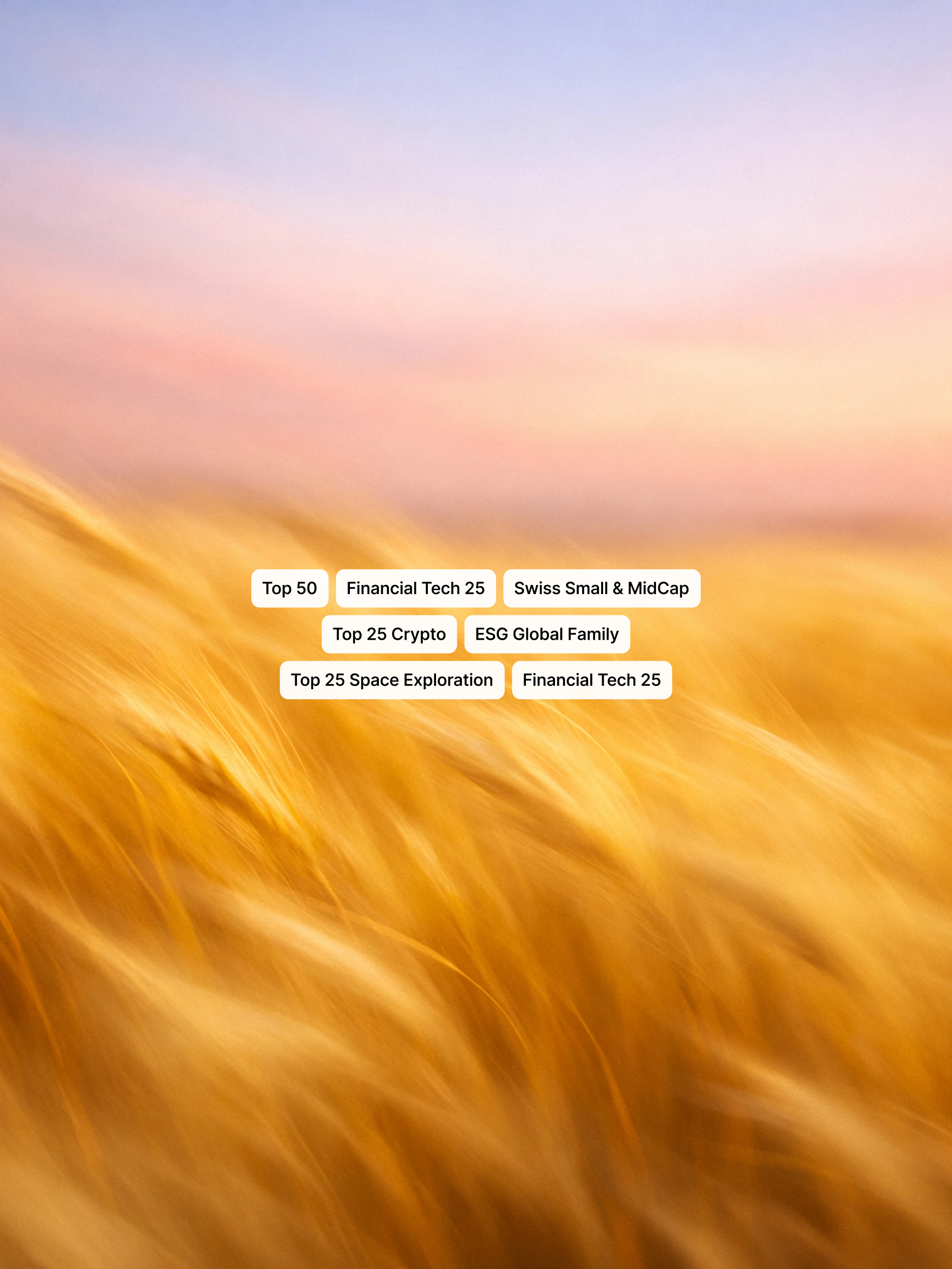 Lapis: institutional landing page for dedicated investment solutions
